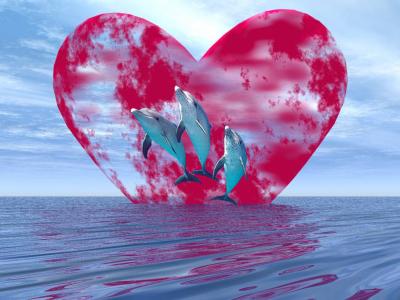 les dauphins
