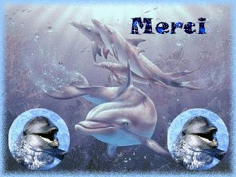 pour tous