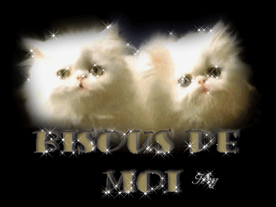 les chats