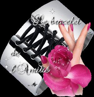 pour mes amis
