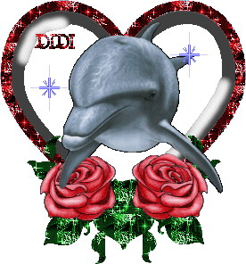 les dauphins