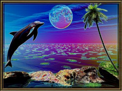dauphins