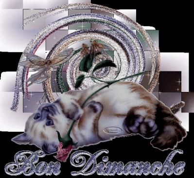 pour tous