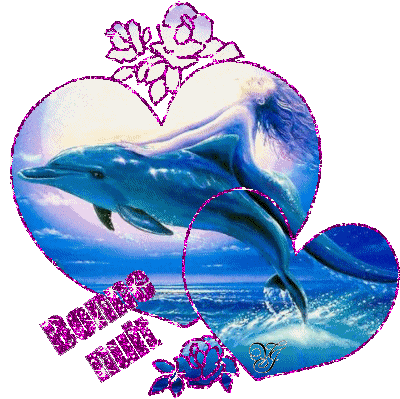 dauphins