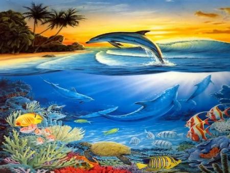 dauphins