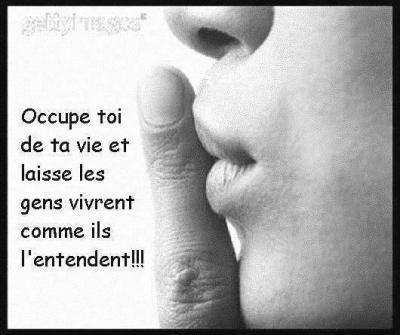 avis